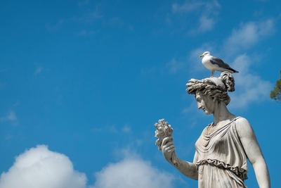 Foto Roma statua con gabbiano