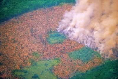 Foto amazzonia incendi deforestazione