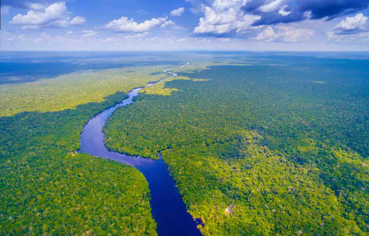 Foto foresta Amazzonica