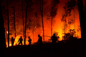 Foto incendi boschivi