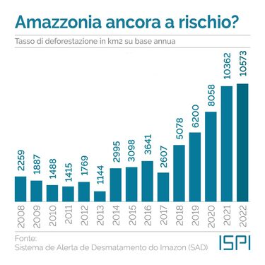 Infografica tasso deforestazione Amazzonia 2009 2022