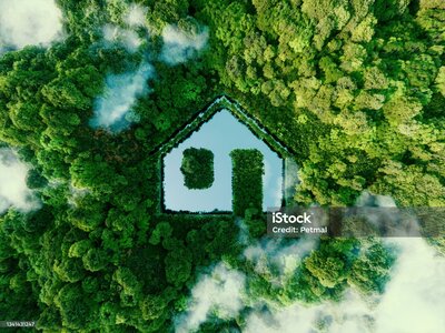 Concept depicting new possibilities for the development of sustainable construction technologies and green living the form of a house-shaped pond located in a lush forest. 3d rendering.